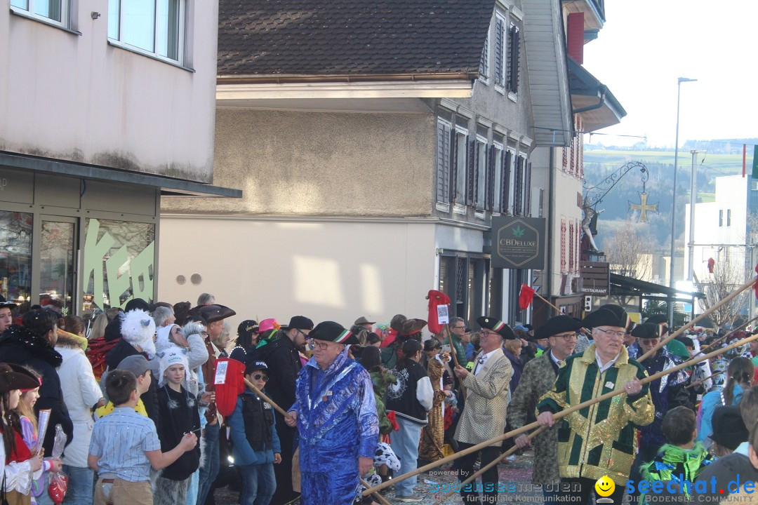 Fasnachtsumzug - Hochdorf - Schweiz, 13.02.2024