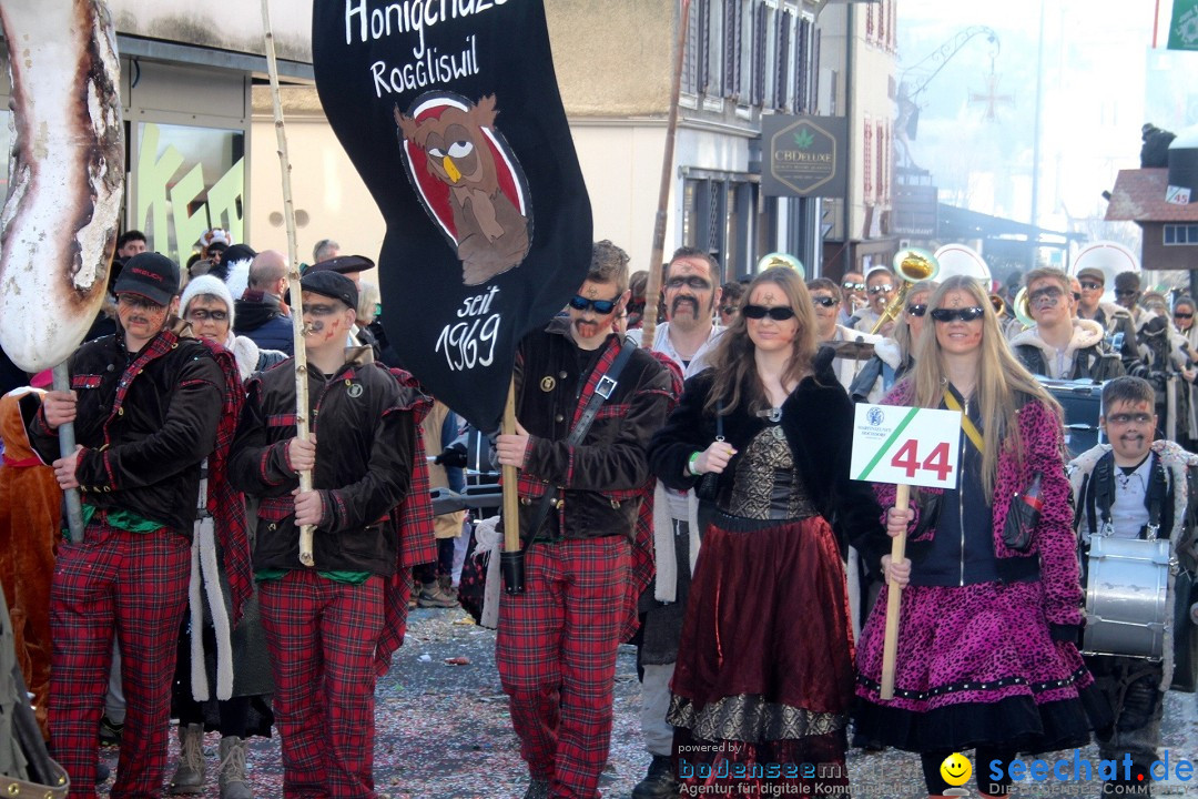 Fasnachtsumzug - Hochdorf - Schweiz, 13.02.2024