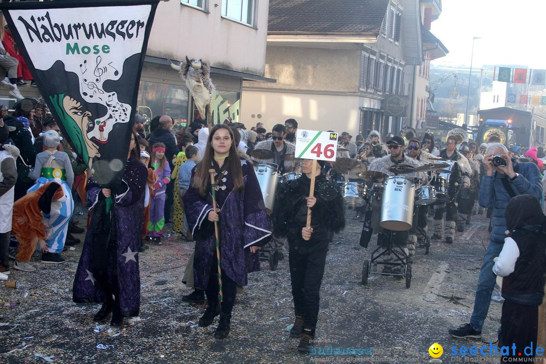 Fasnachtsumzug - Hochdorf - Schweiz, 13.02.2024