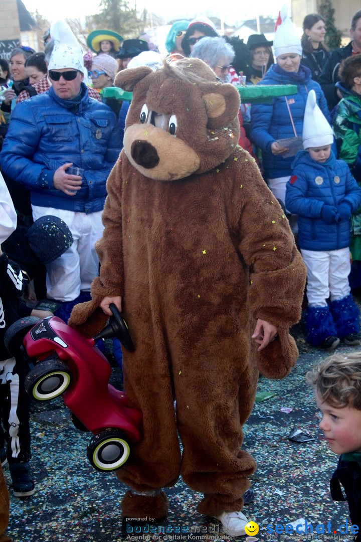 Fasnachtsumzug - Hochdorf - Schweiz, 13.02.2024