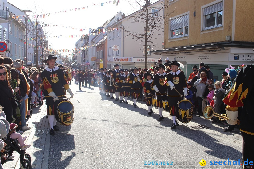 Fasnetsumzug: Tettnang am Bodensee, 13.02.2024