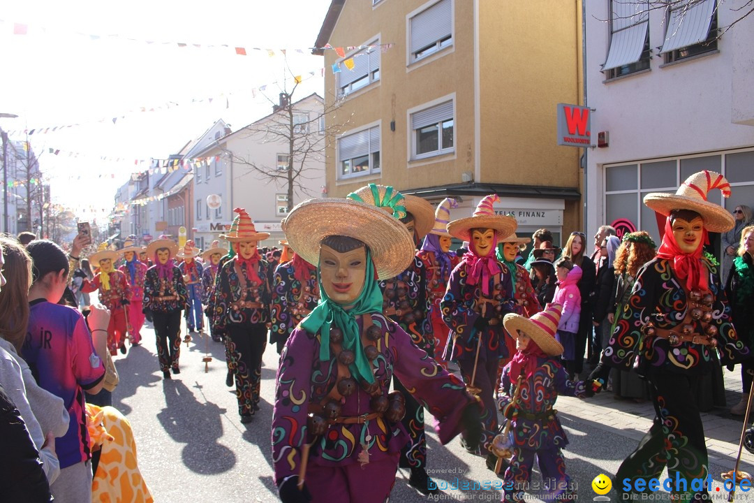 Fasnetsumzug: Tettnang am Bodensee, 13.02.2024