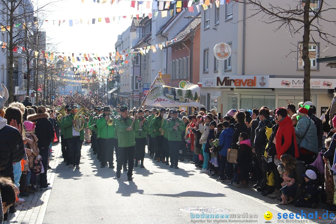 Fasnetsumzug: Tettnang am Bodensee, 13.02.2024