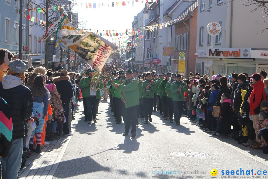 Fasnetsumzug: Tettnang am Bodensee, 13.02.2024