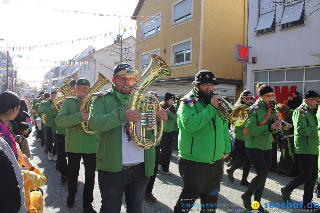 Fasnetsumzug: Tettnang am Bodensee, 13.02.2024