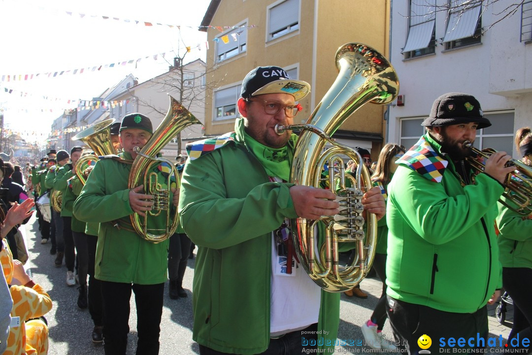 Fasnetsumzug: Tettnang am Bodensee, 13.02.2024