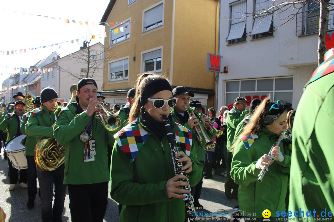 Fasnetsumzug: Tettnang am Bodensee, 13.02.2024