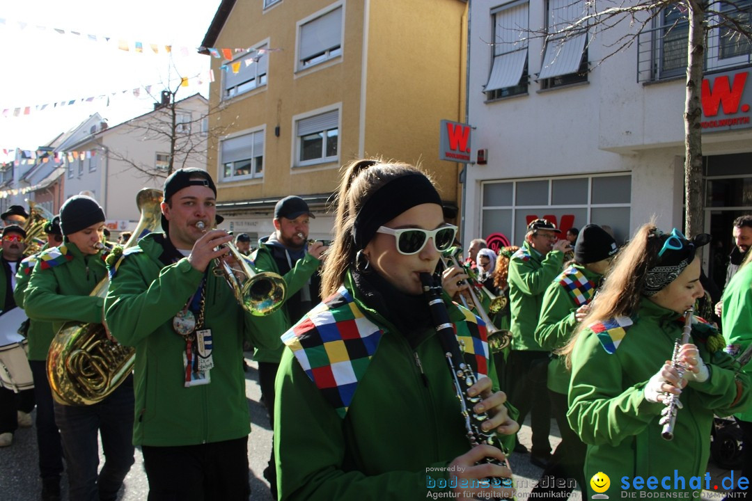 Fasnetsumzug: Tettnang am Bodensee, 13.02.2024