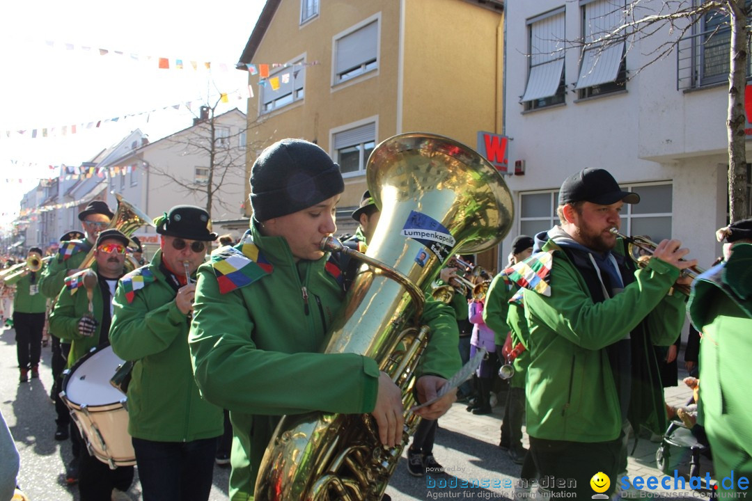 Fasnetsumzug: Tettnang am Bodensee, 13.02.2024