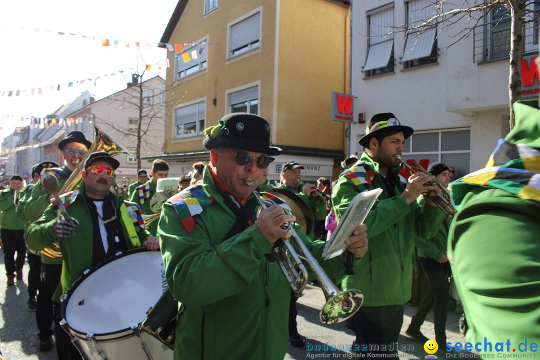 Fasnetsumzug: Tettnang am Bodensee, 13.02.2024