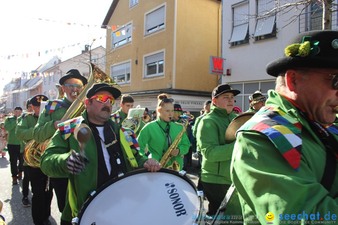 Fasnetsumzug: Tettnang am Bodensee, 13.02.2024