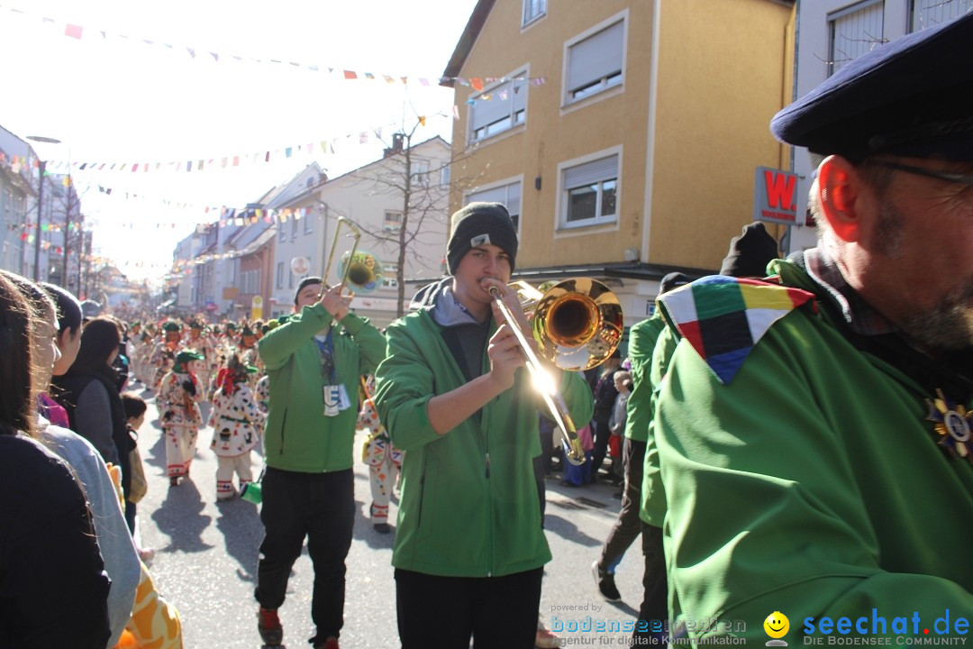 Fasnetsumzug: Tettnang am Bodensee, 13.02.2024