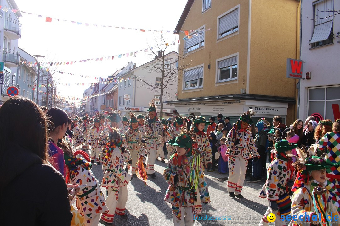 Fasnetsumzug: Tettnang am Bodensee, 13.02.2024