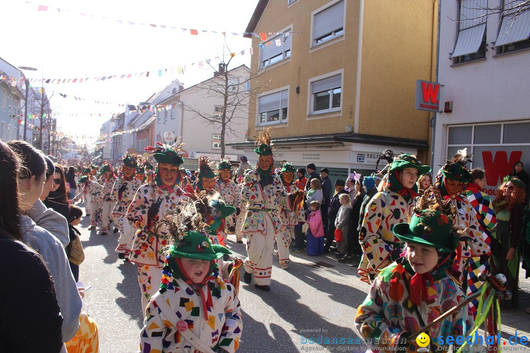 Fasnetsumzug: Tettnang am Bodensee, 13.02.2024