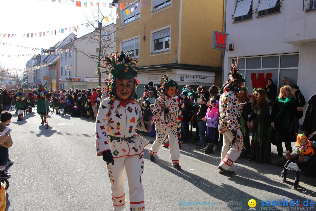 Fasnetsumzug: Tettnang am Bodensee, 13.02.2024