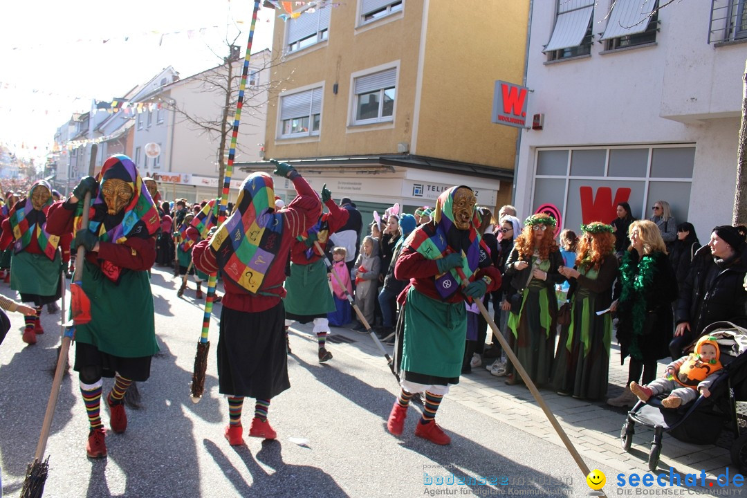 Fasnetsumzug: Tettnang am Bodensee, 13.02.2024