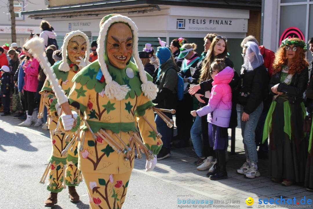 Fasnetsumzug: Tettnang am Bodensee, 13.02.2024