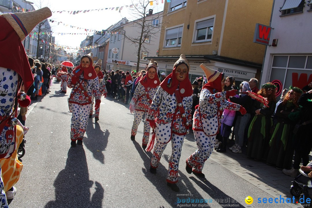 Fasnetsumzug: Tettnang am Bodensee, 13.02.2024