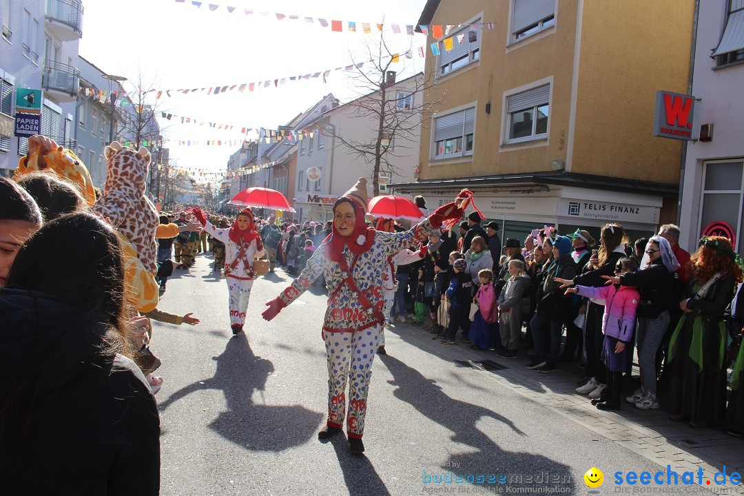 Fasnetsumzug: Tettnang am Bodensee, 13.02.2024