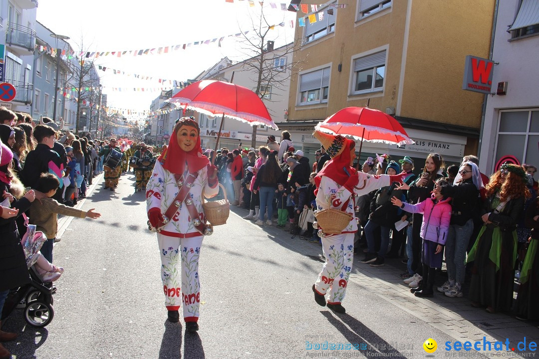 Fasnetsumzug: Tettnang am Bodensee, 13.02.2024