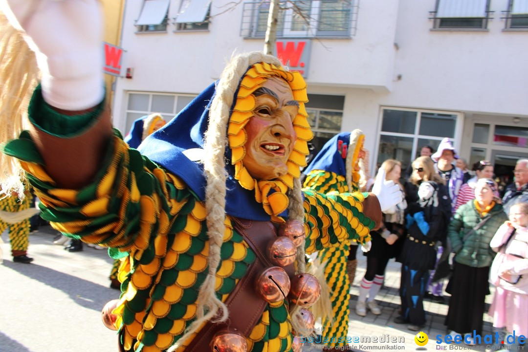 Fasnetsumzug: Tettnang am Bodensee, 13.02.2024