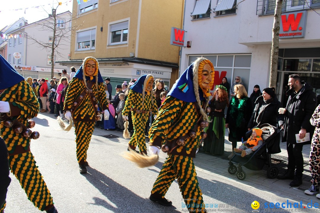 Fasnetsumzug: Tettnang am Bodensee, 13.02.2024