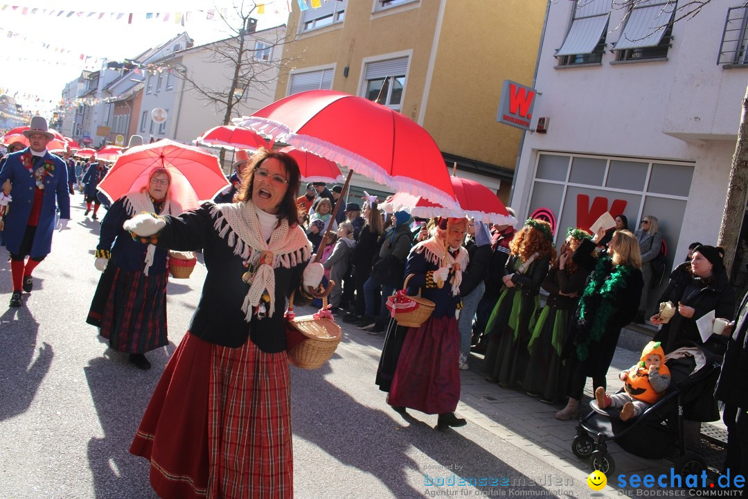 Fasnetsumzug: Tettnang am Bodensee, 13.02.2024