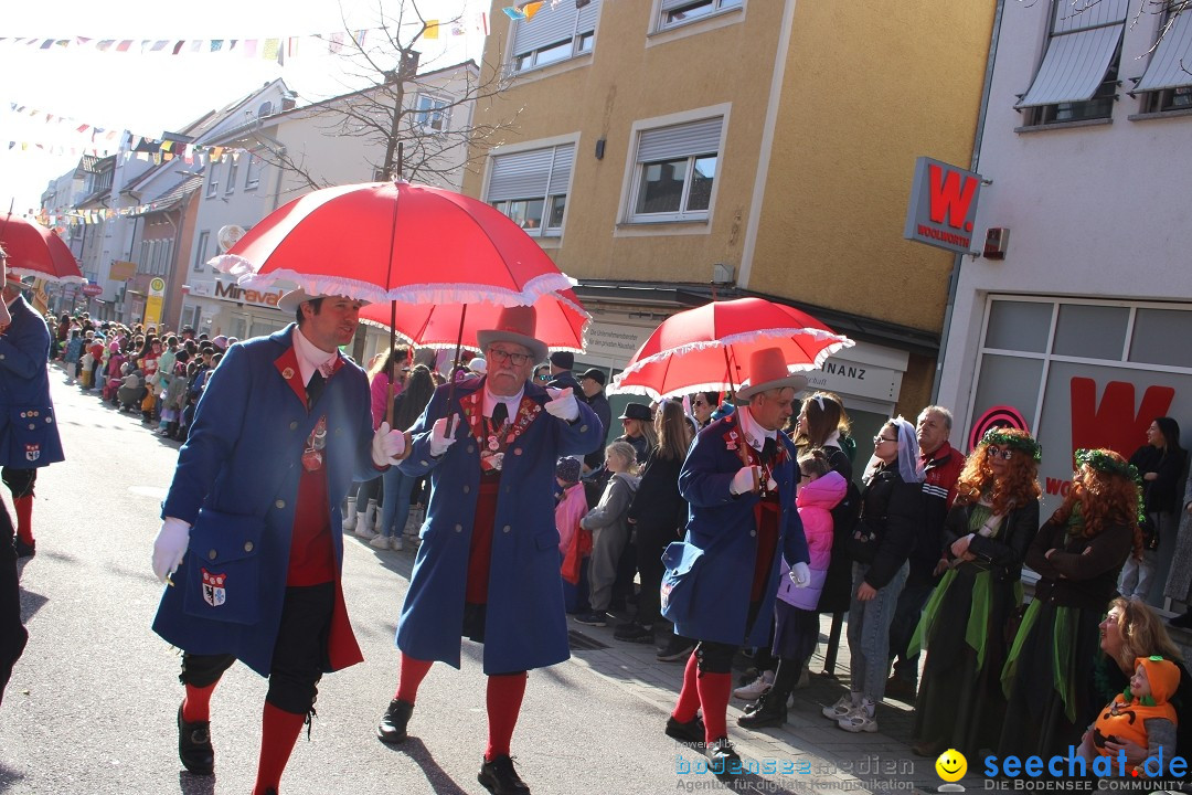 Fasnetsumzug: Tettnang am Bodensee, 13.02.2024