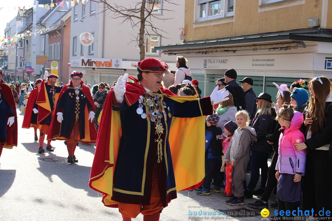 Fasnetsumzug: Tettnang am Bodensee, 13.02.2024