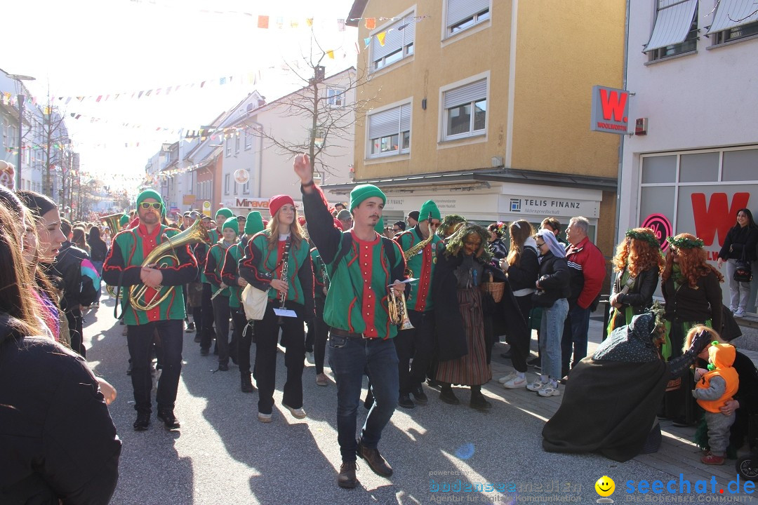 Fasnetsumzug: Tettnang am Bodensee, 13.02.2024