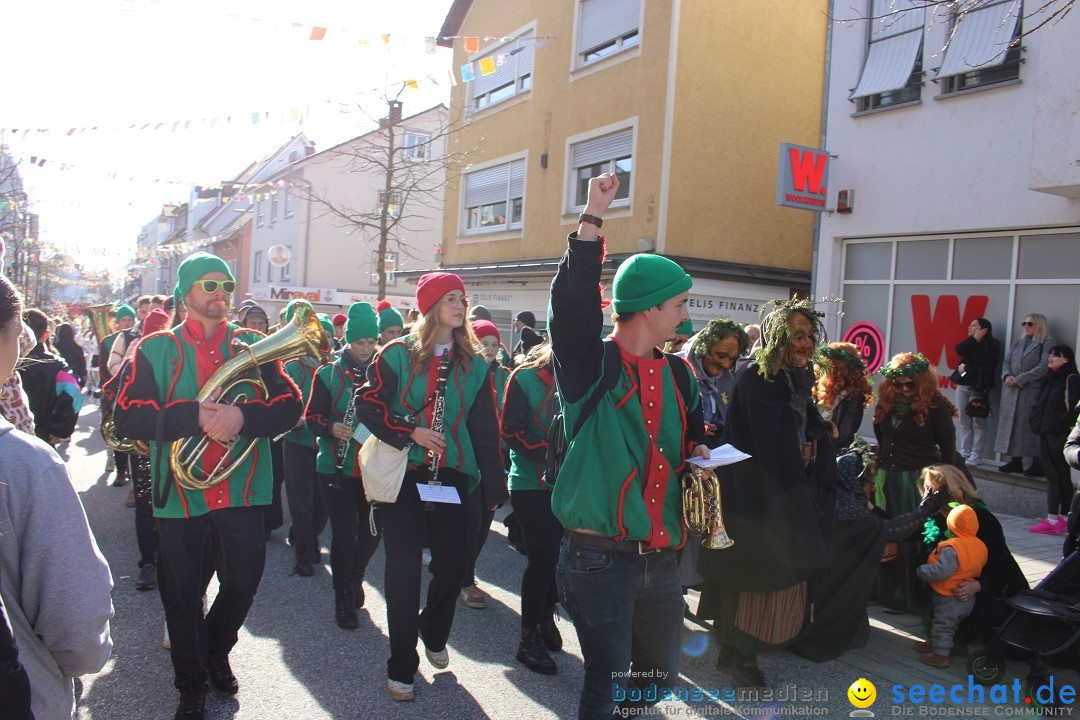 Fasnetsumzug: Tettnang am Bodensee, 13.02.2024