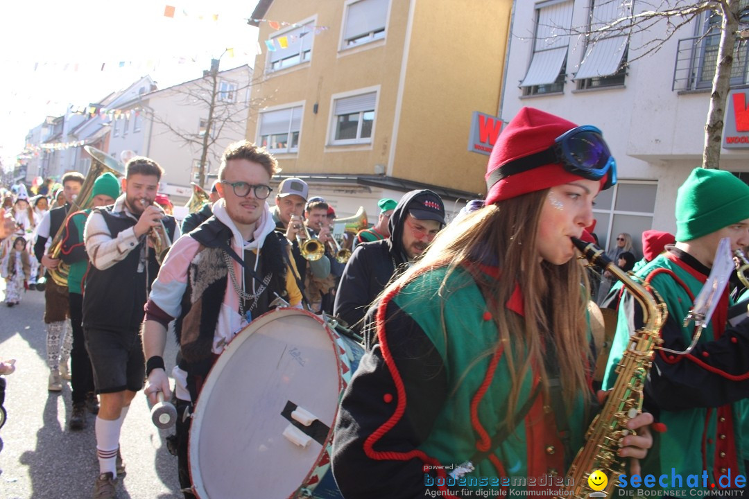 Fasnetsumzug: Tettnang am Bodensee, 13.02.2024