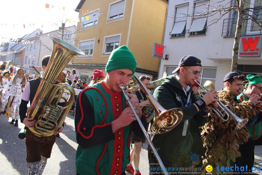 Fasnetsumzug: Tettnang am Bodensee, 13.02.2024