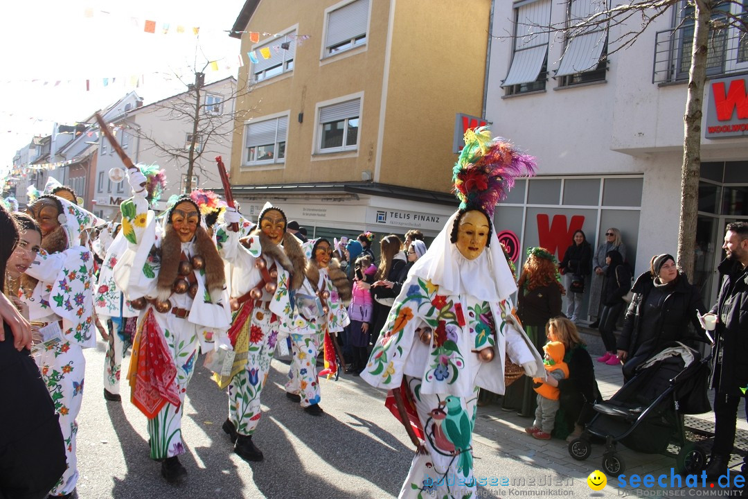 Fasnetsumzug: Tettnang am Bodensee, 13.02.2024