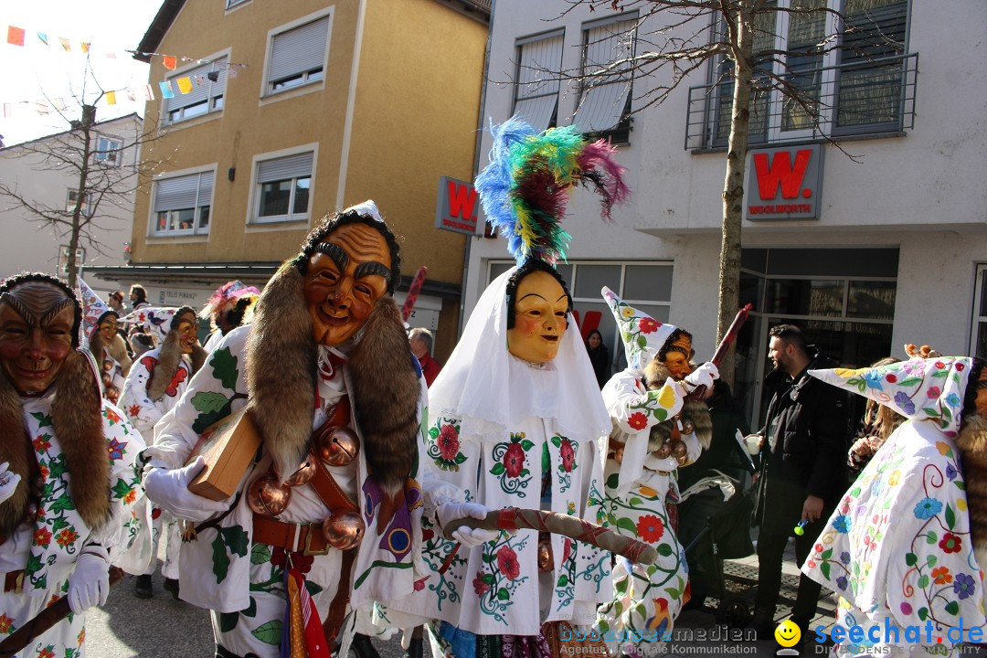 Fasnetsumzug: Tettnang am Bodensee, 13.02.2024