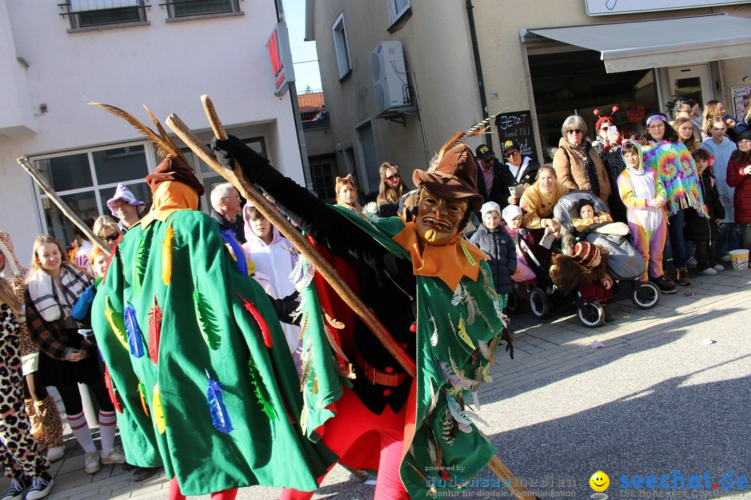 Fasnetsumzug: Tettnang am Bodensee, 13.02.2024