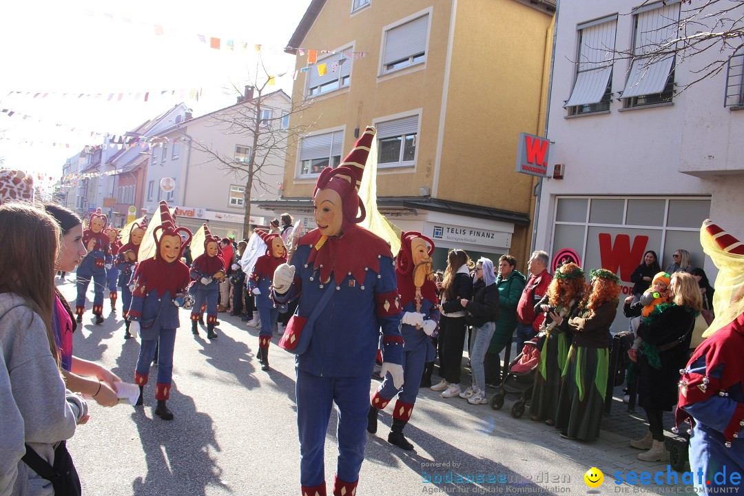 Fasnetsumzug: Tettnang am Bodensee, 13.02.2024