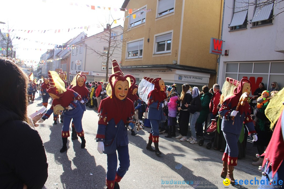 Fasnetsumzug: Tettnang am Bodensee, 13.02.2024