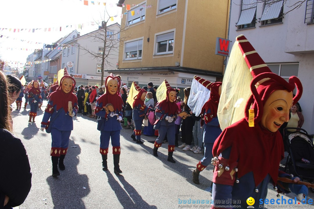 Fasnetsumzug: Tettnang am Bodensee, 13.02.2024