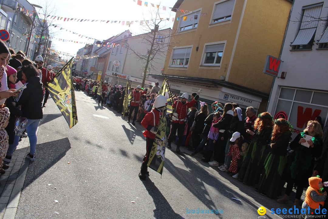 Fasnetsumzug: Tettnang am Bodensee, 13.02.2024