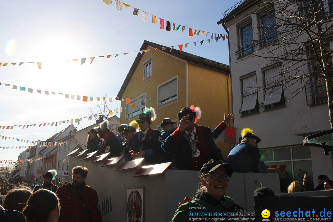 Fasnetsumzug: Tettnang am Bodensee, 13.02.2024