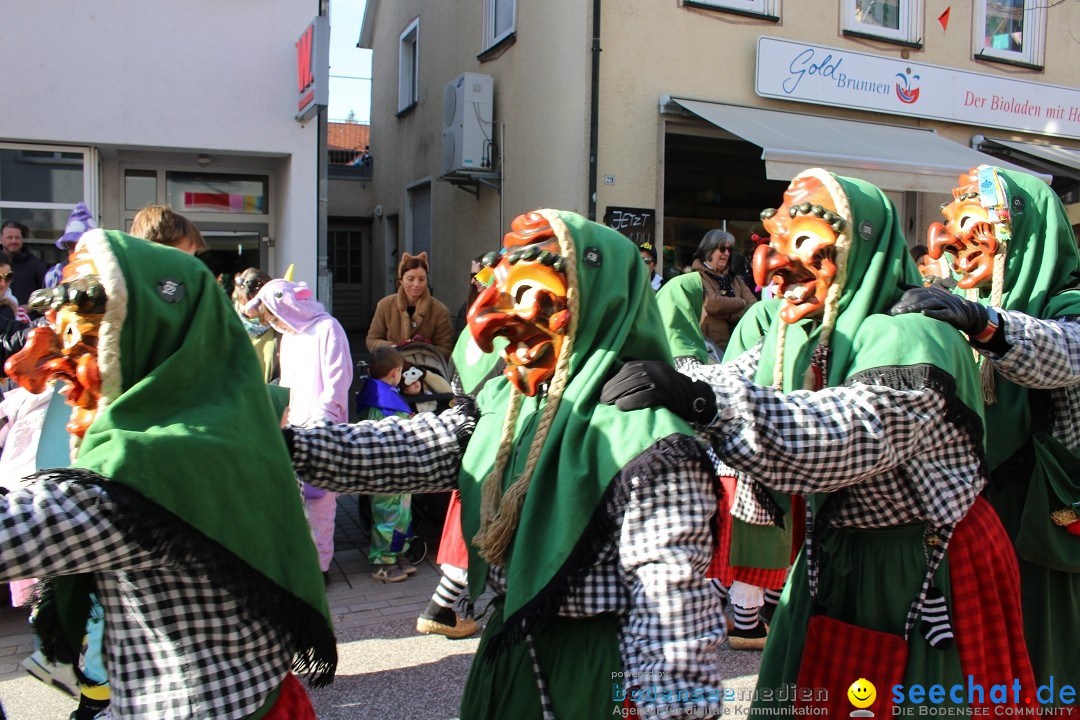 Fasnetsumzug: Tettnang am Bodensee, 13.02.2024