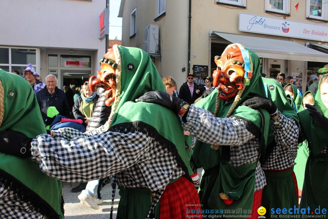 Fasnetsumzug: Tettnang am Bodensee, 13.02.2024