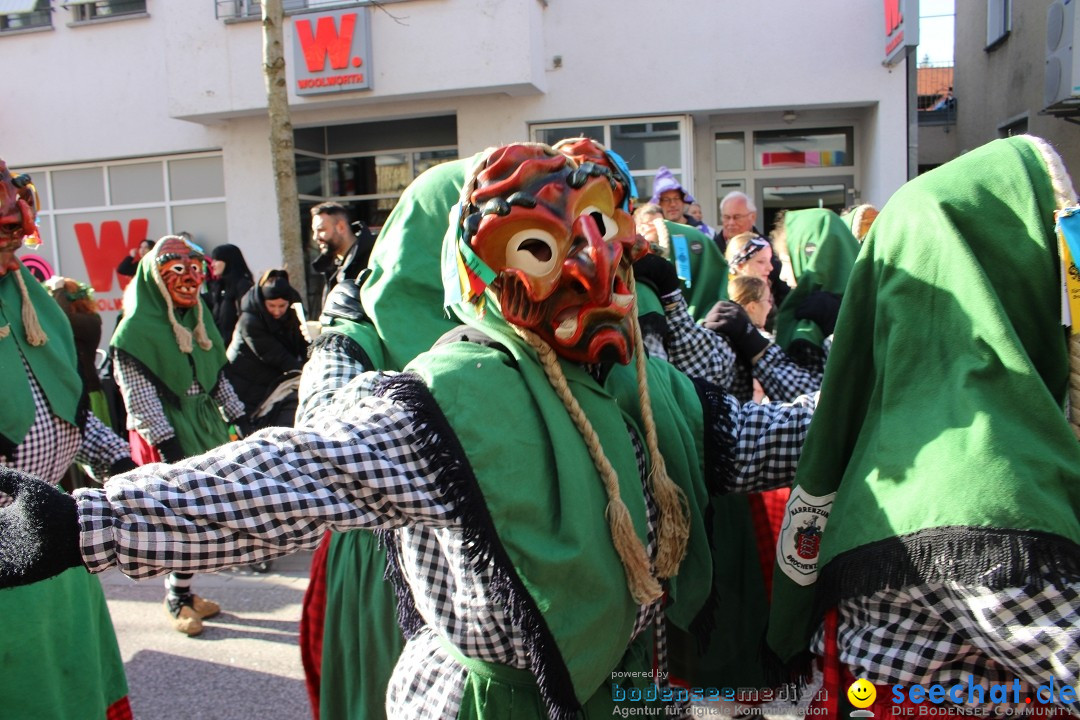 Fasnetsumzug: Tettnang am Bodensee, 13.02.2024