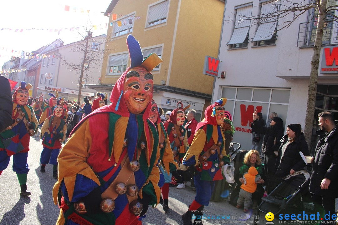 Fasnetsumzug: Tettnang am Bodensee, 13.02.2024