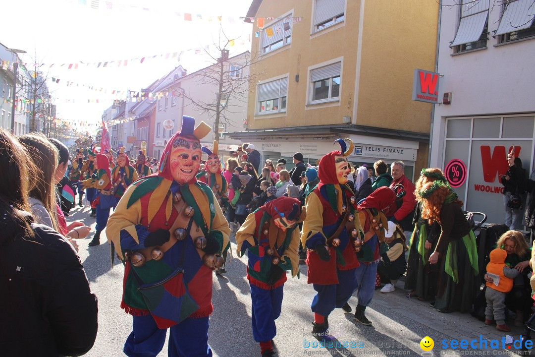 Fasnetsumzug: Tettnang am Bodensee, 13.02.2024