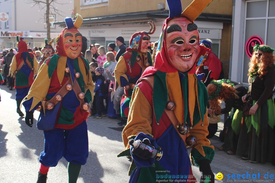 Fasnetsumzug: Tettnang am Bodensee, 13.02.2024