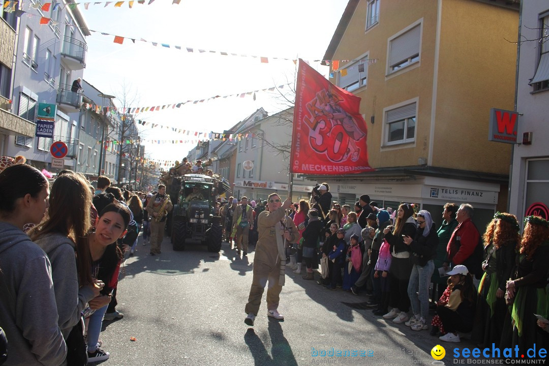 Fasnetsumzug: Tettnang am Bodensee, 13.02.2024