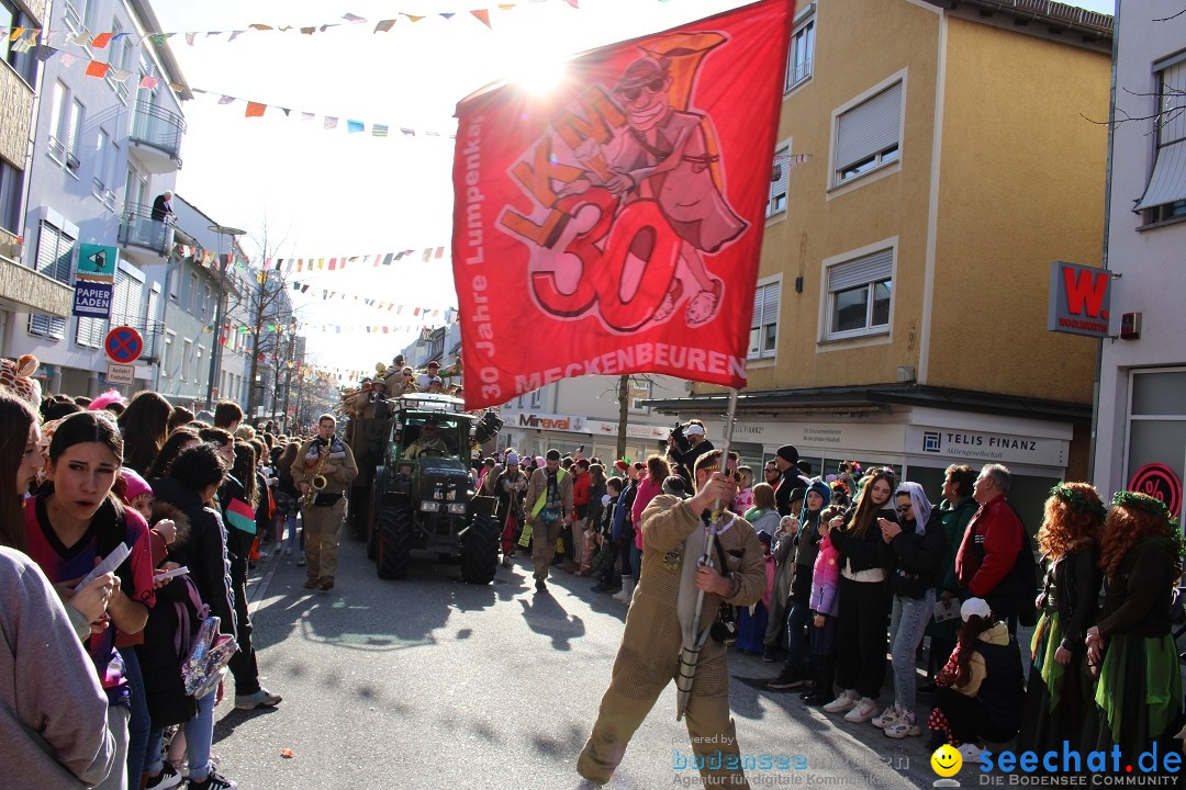 Fasnetsumzug: Tettnang am Bodensee, 13.02.2024