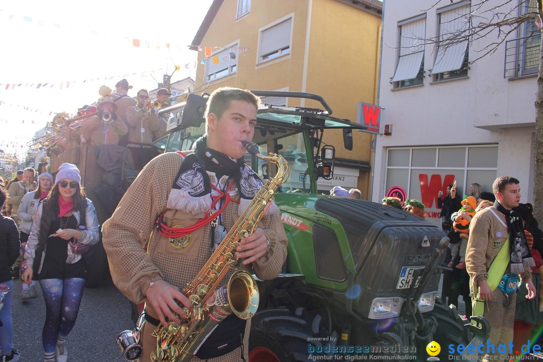 Fasnetsumzug: Tettnang am Bodensee, 13.02.2024